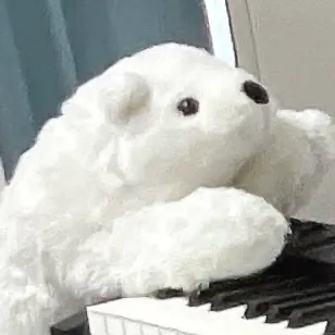 寄稿者のアバター